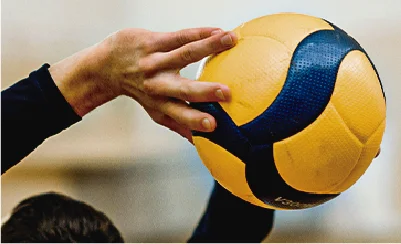 Diplomado en Preparación Física y Entrenamiento Deportivo Aplicado al Vóleibol