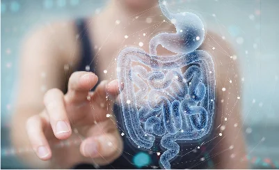 Cirugía Digestiva: ¿el intestino es un segundo cerebro?