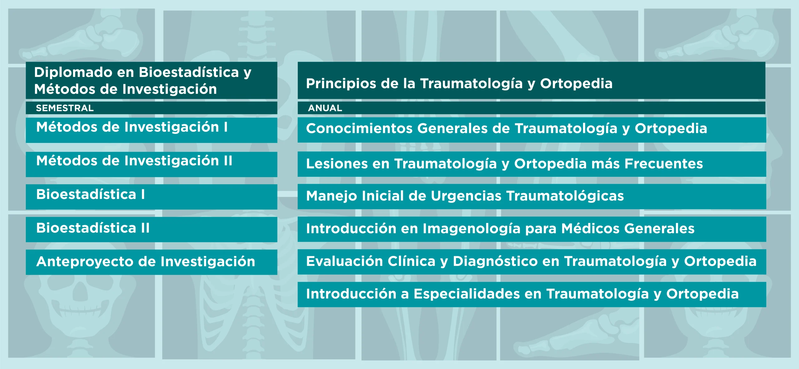 PLANES ESTUDIO Fellowship en Bases de la Investigación Clínica y Principios de Traumatología y Ortopedia para Médicos Generales​