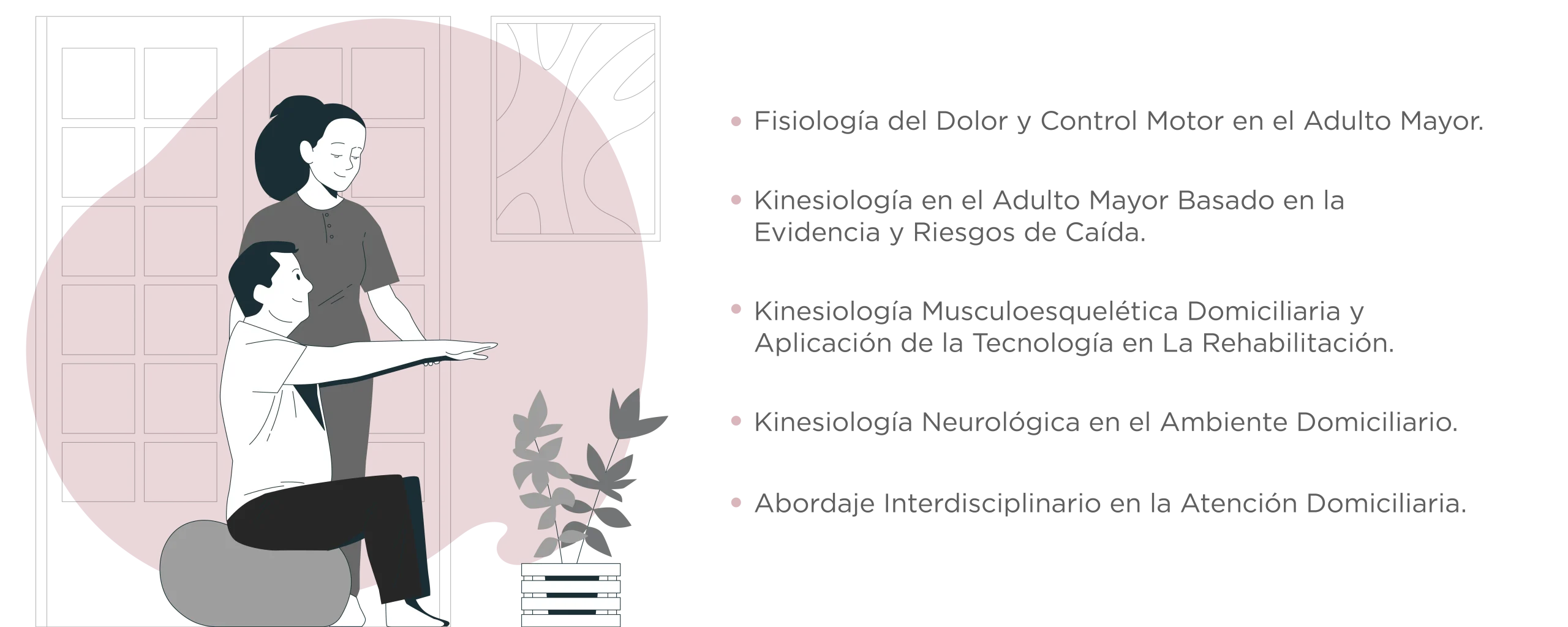 Diplomado en Kinesiología Domiciliaria