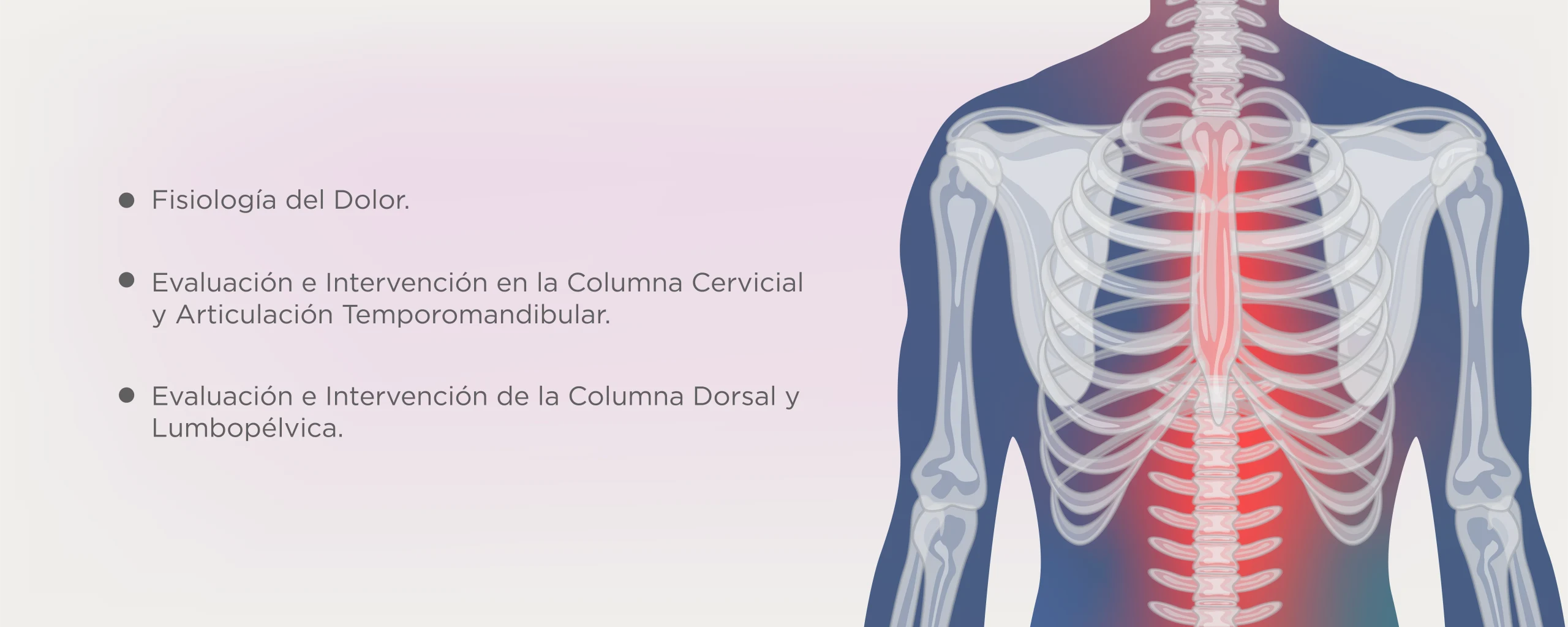 PLAN ESTUDIOS Diplomado en Terapia Manual Ortopédica para Columna Vertebral y Articulación Temporomandibular