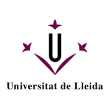 El Magíster en Dirección de Personas y Gestión del Talento de la Universidad Andrés Bello tiene carácter profesional siendo, además, un programa con opción de Doble Titulo con Universidad de Lleida.